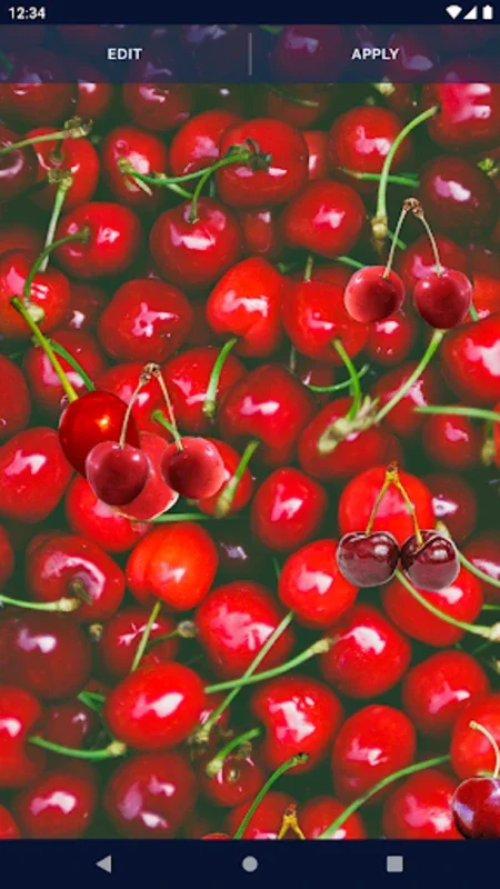 Summer Cherry Live Wallpaper for Android - Enhance Your Screen