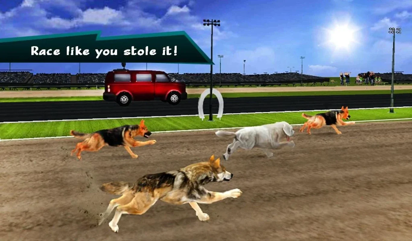 Wild Greyhound Dog Racing for Android - Thrilling Races