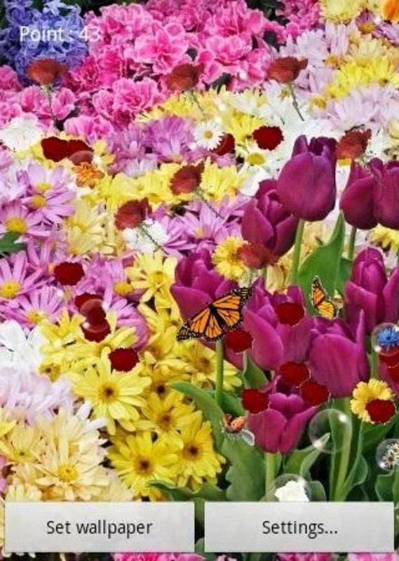 Flowers Live Wallpaper for Android: Enhance Your Device