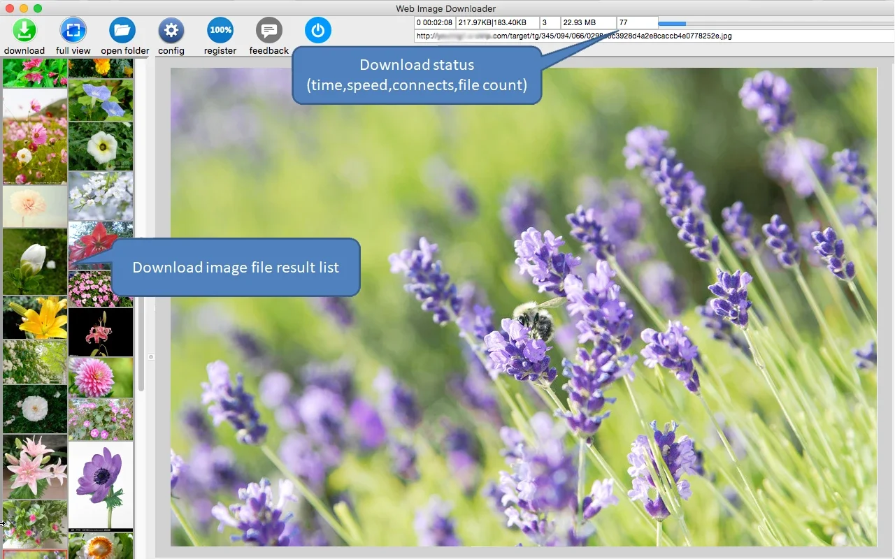 All Image Downloader for Mac - Download Now