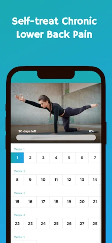 Lower Back Pain Exercises for Android - No Downloading Needed