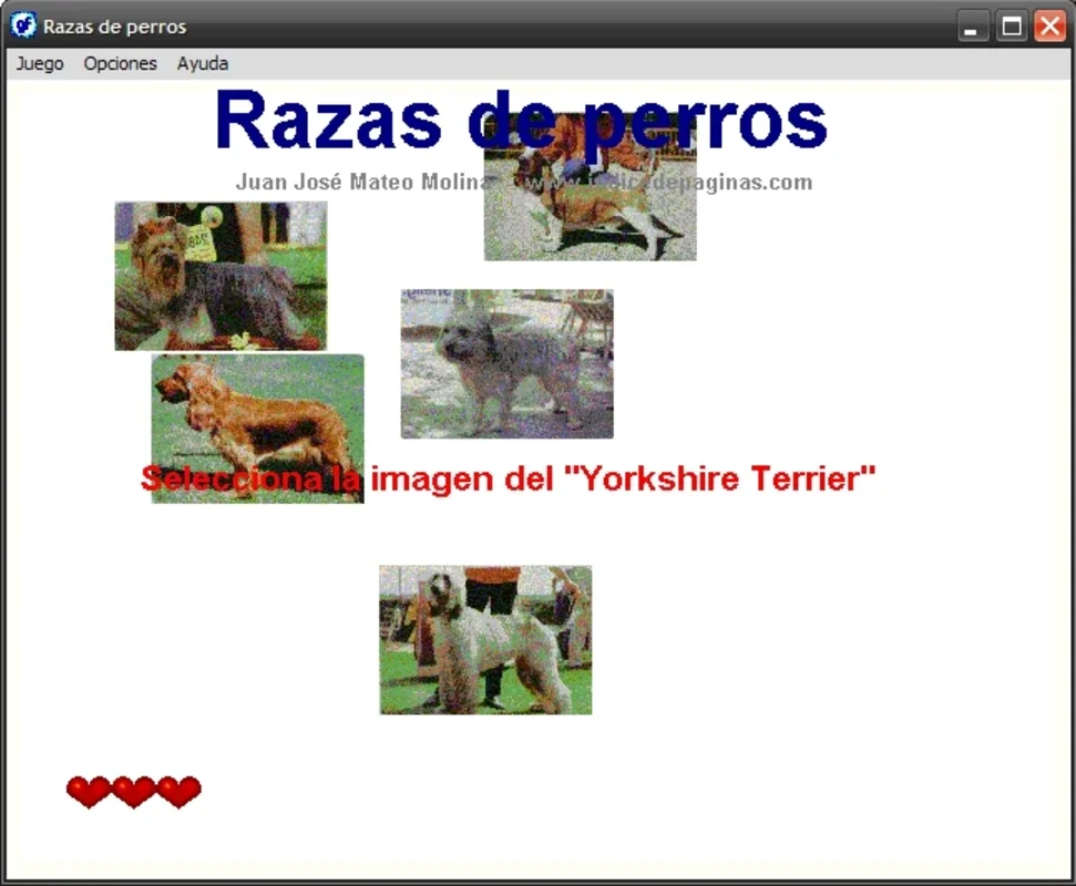 Razas de perros for Windows - No Download Needed