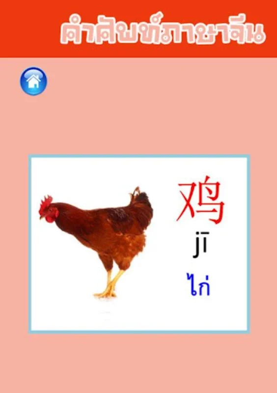 คำศัพท์ภาษาจีน for Android - Enhance Your Chinese Skills