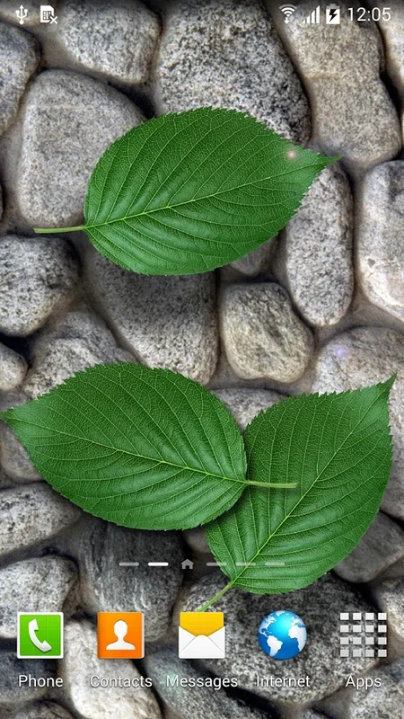 Stones in Water Live Wallpaper for Android - Immersive Visuals