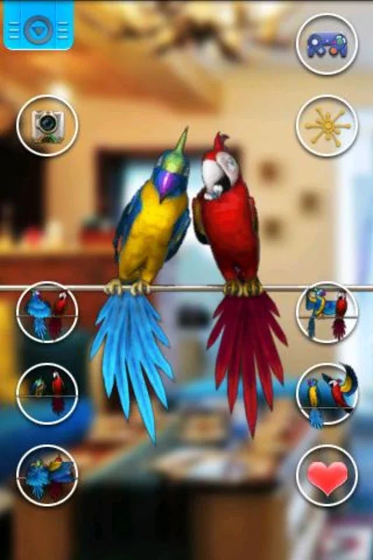 Talking Parrot Couple Free for Android - No Downloading Required