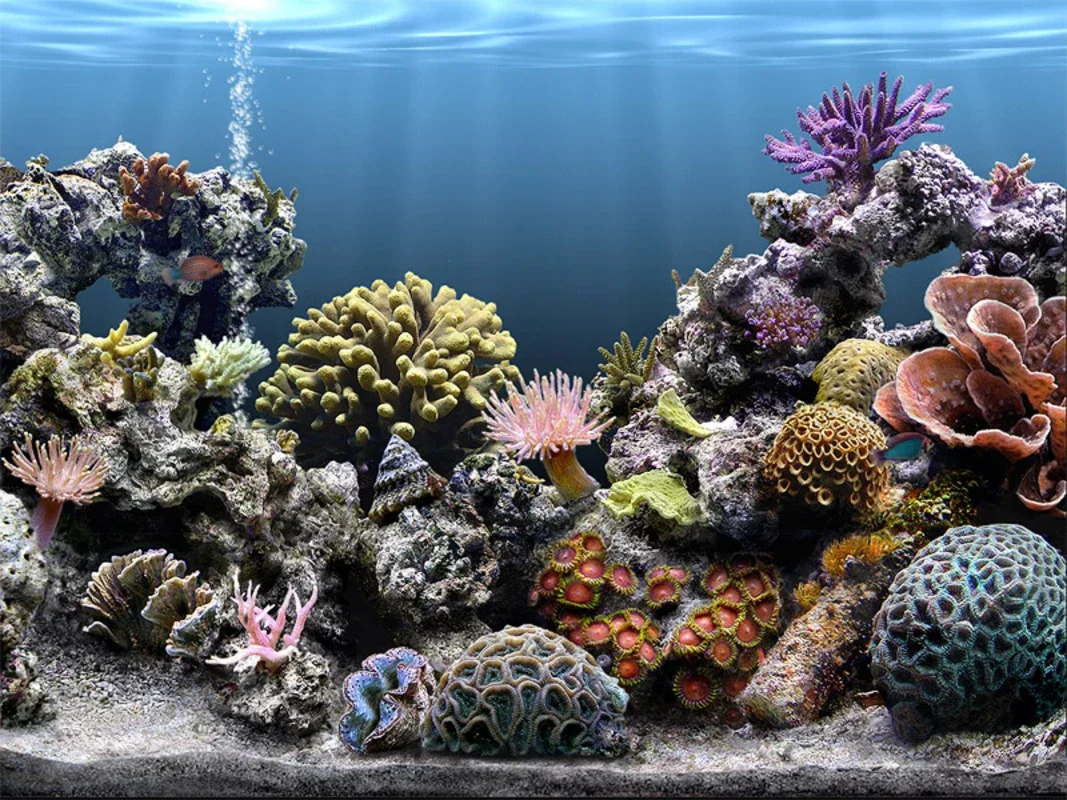 Sim Aquarium Free Tank for Windows - Enjoy a Relaxing Aquarium