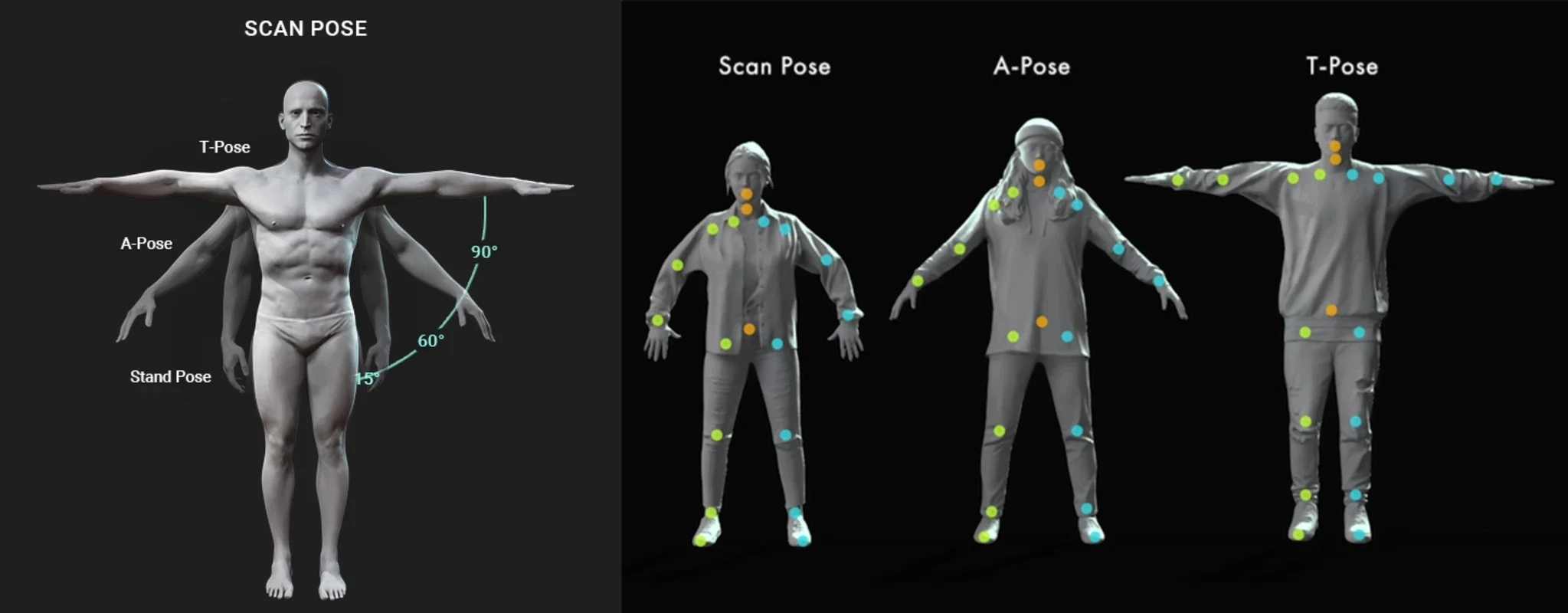 AccuRIG for Windows - Simplify Character Rigging