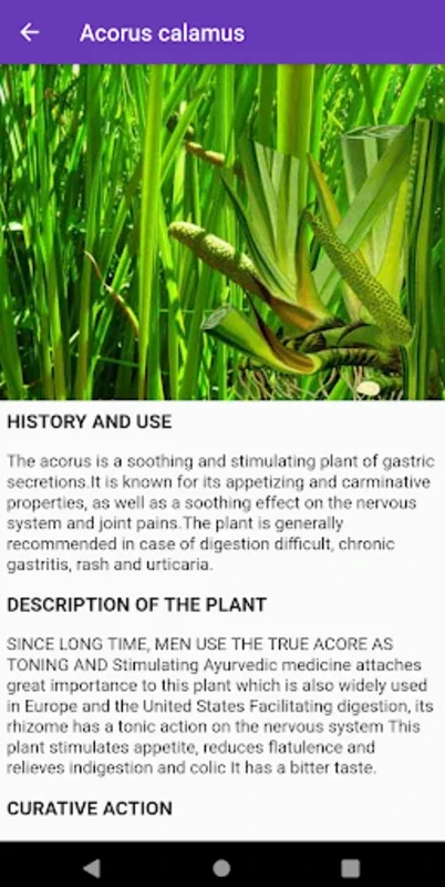 Plantes Lite for Android - Explore Natural Remedies