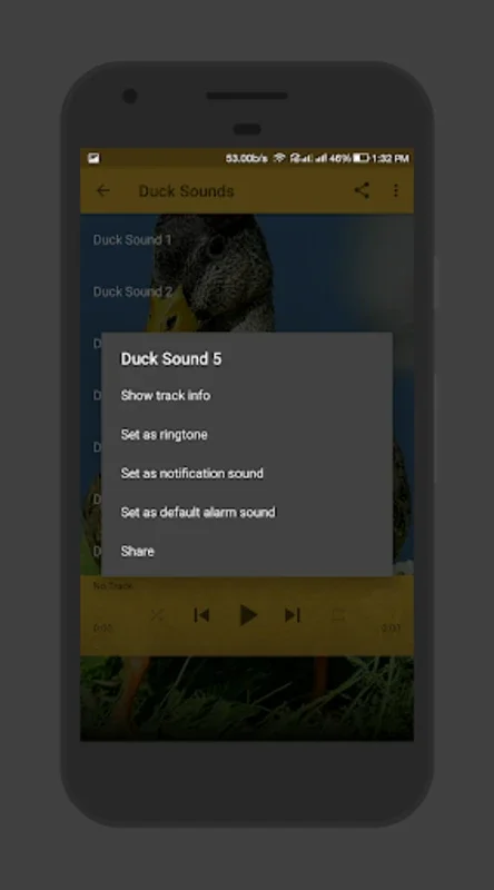 Duck Sounds for Android: Relax with Nature's Melodies