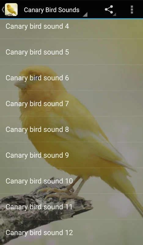 Canary Bird Sounds for Android - Immerse in Nature's Melodies