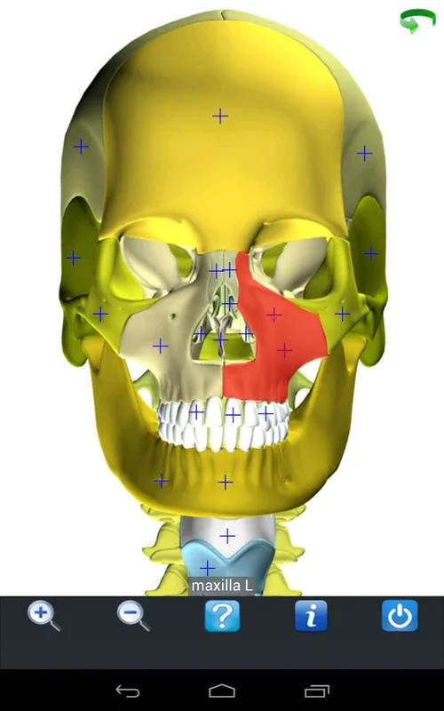 Visual Anatomy Free for Android - Enrich Your Learning