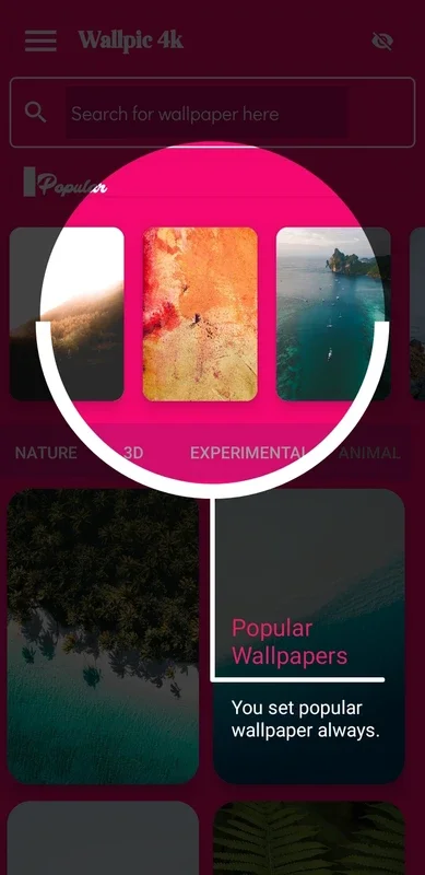WallPic for Android - A Diverse Wallpaper App