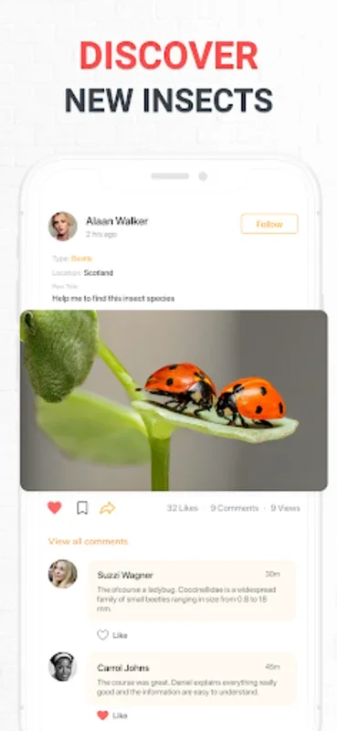 Insect Identifier for Android - Download the APK from AppHuts