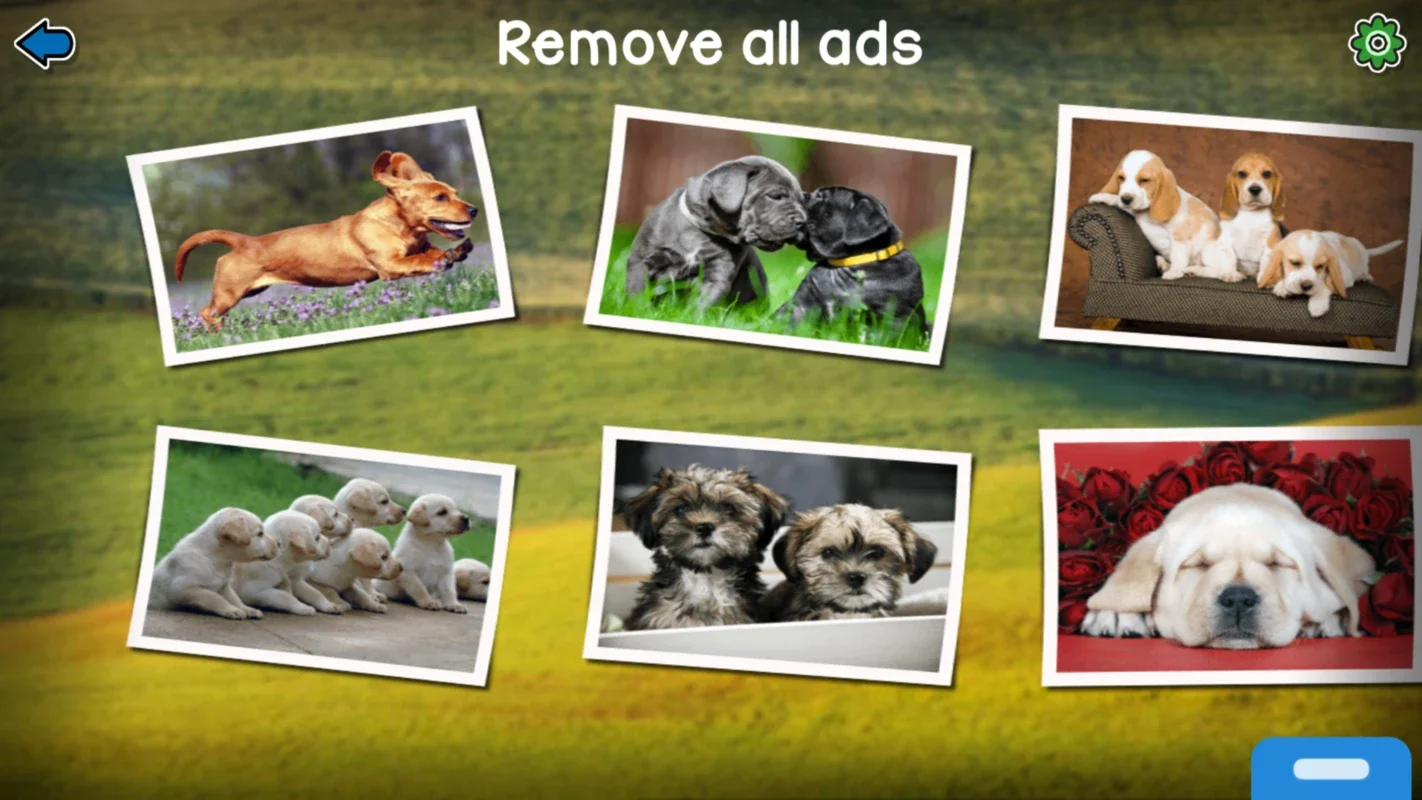 Dog Puzzles for Android - Download the APK from AppHuts