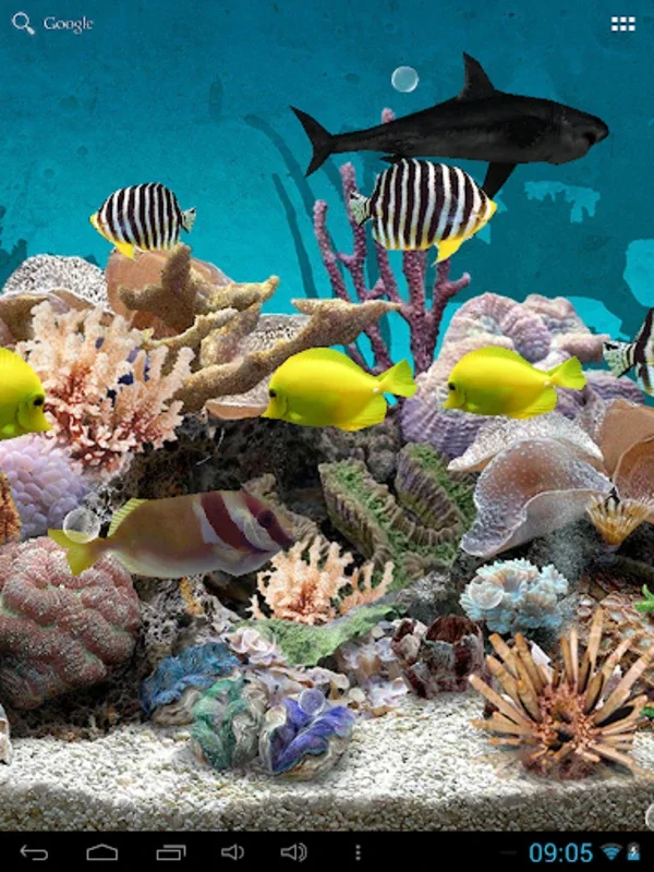 3D Aquarium Live Wallpaper for Android - Immersive Aquatic Experience