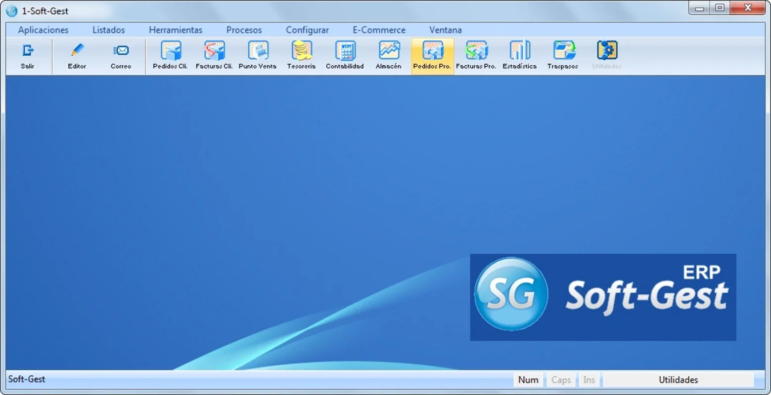 Soft-Gest ERP for Windows - Streamline Your Business