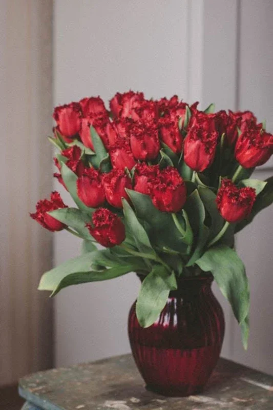 Flores y Rosas Rojas imágenes for Android: Stunning Wallpapers