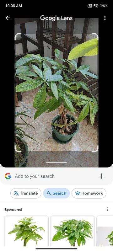 Google Lens: AI-Powered Visual Search for Android