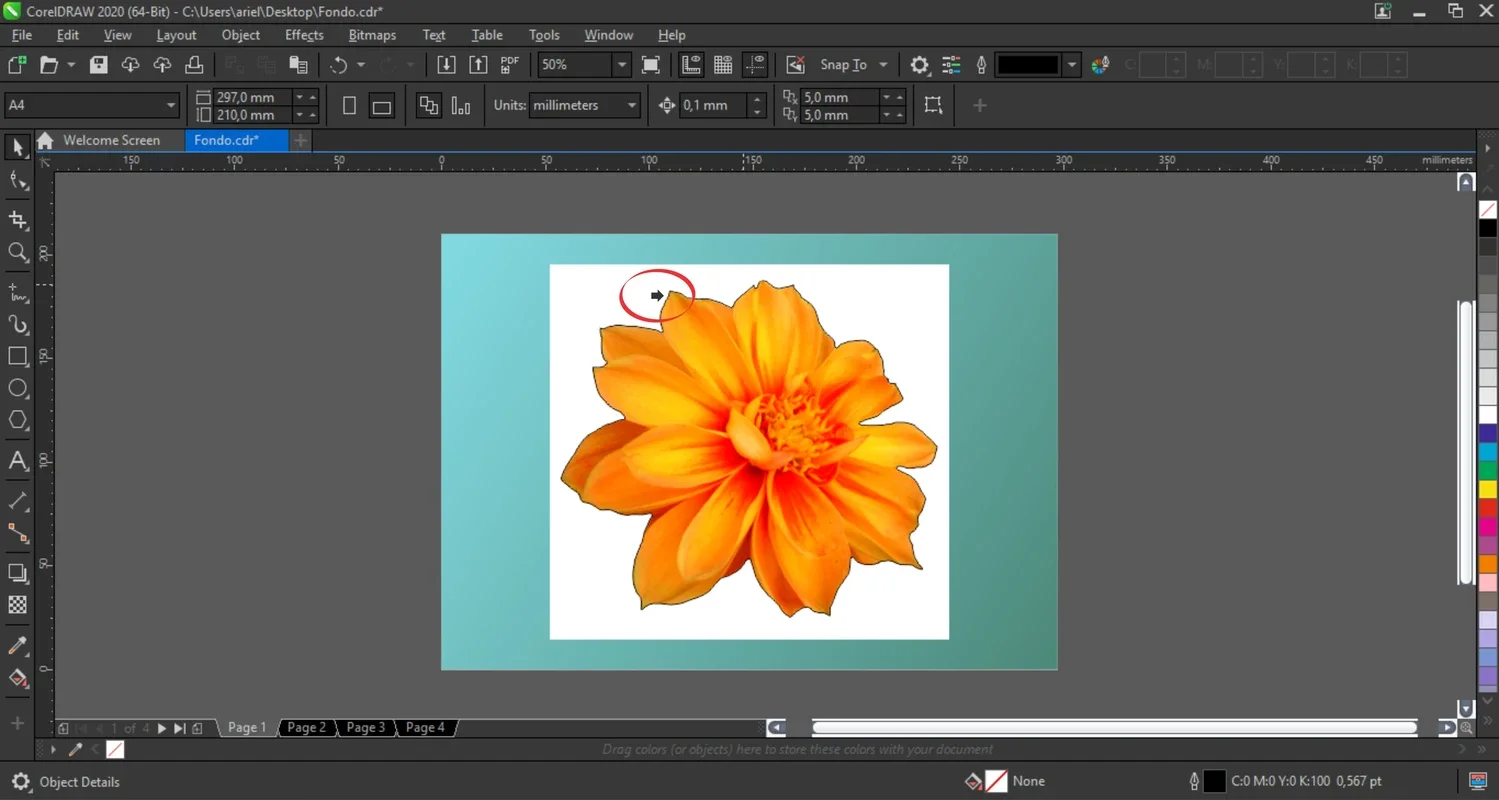 CorelDRAW for Windows - Create Amazing Designs