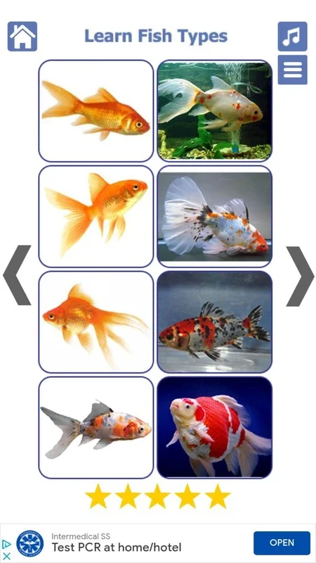 Fish Types for Android: Explore Diverse Fish Species