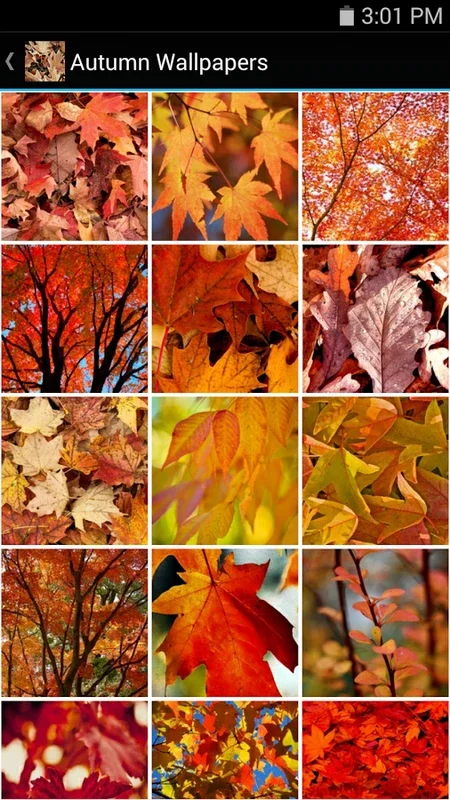 Autumn Wallpapers for Android - Enhance Your Device