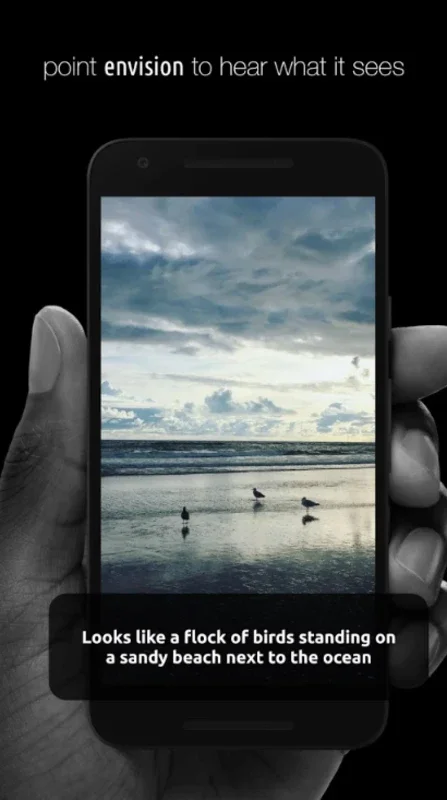 Envision AI for Android - Discover Visual Insights