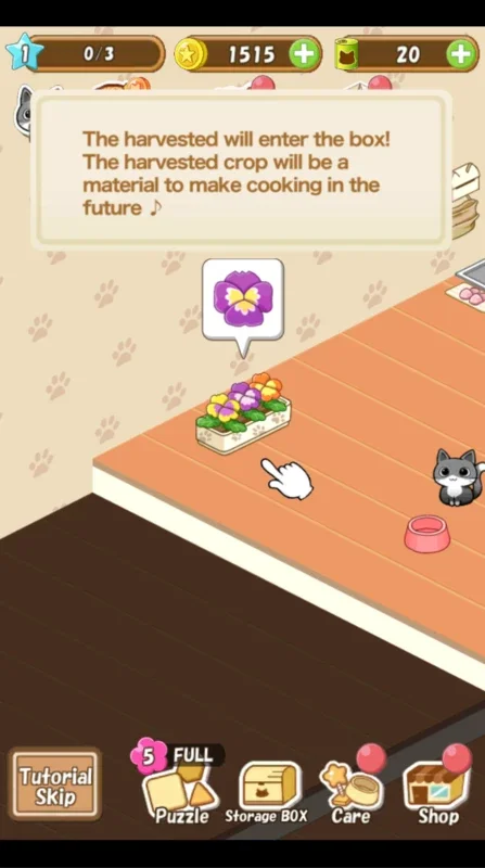 Cat Room for Android: Create the Ideal Kitten Room