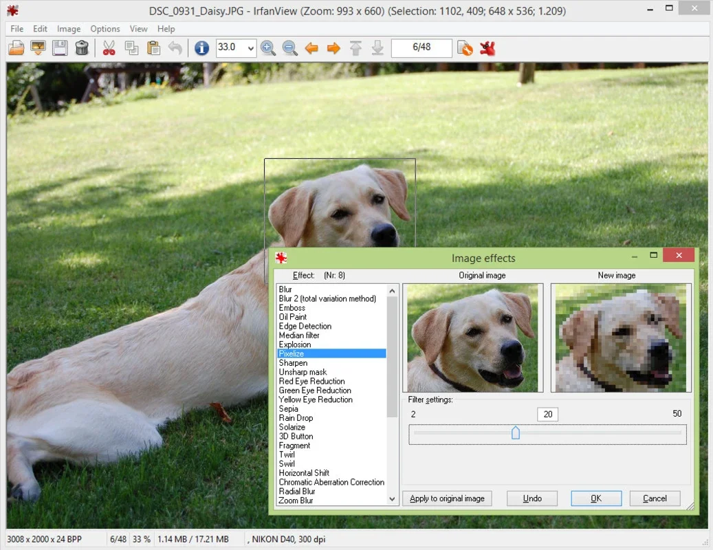 IrfanView for Windows - The Fastest Picture Viewer