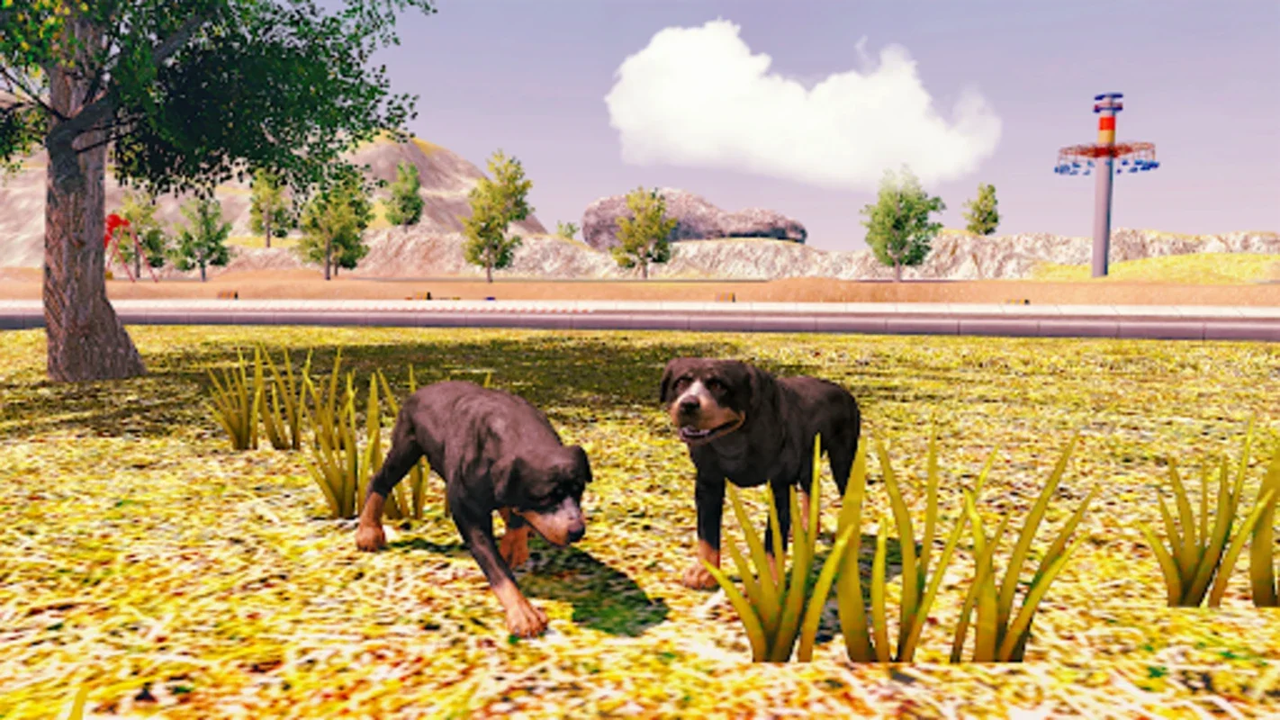 Rottweiler Dog Simulator for Android - Immersive Adventures