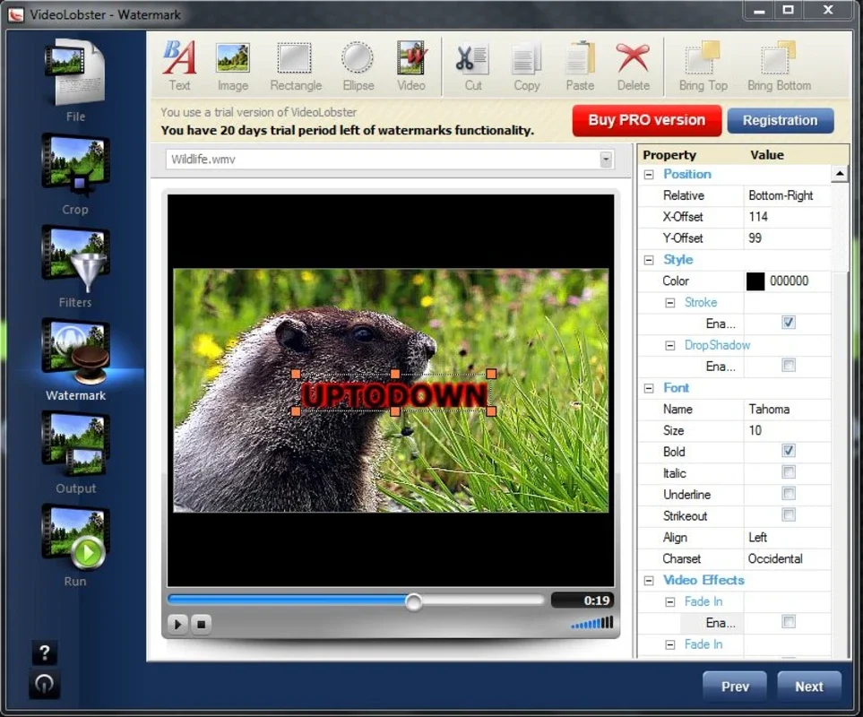 VideoLobster for Windows - Edit, Convert & Add Watermarks