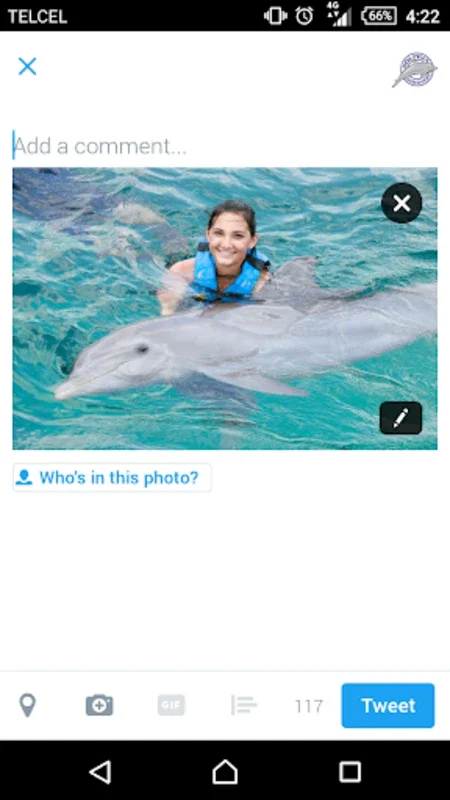 Dolphin Memories for Android: Effortlessly Download Photos