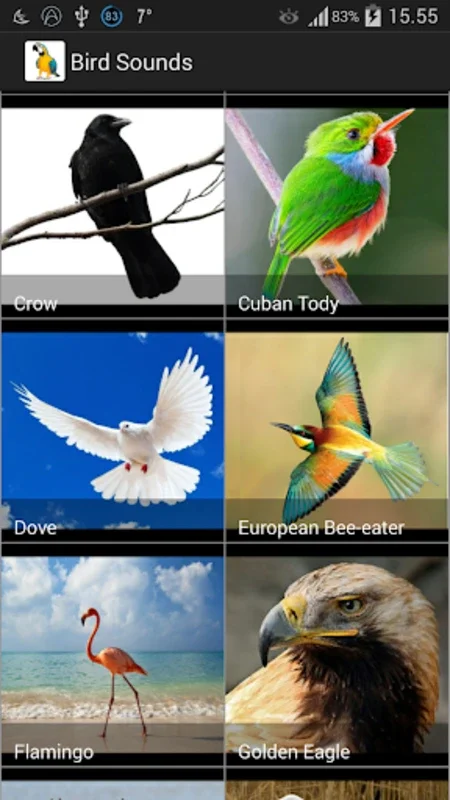 Bird Sounds for Android - Enhance Your Birding Skills