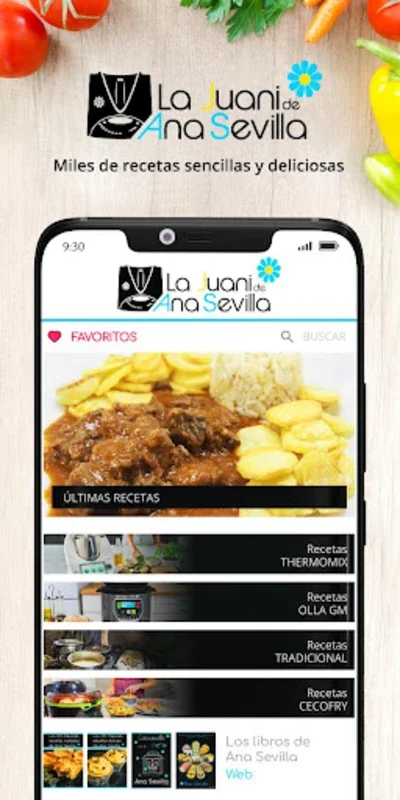 La Juani de Ana Sevilla for Android: Diverse Recipes Galore