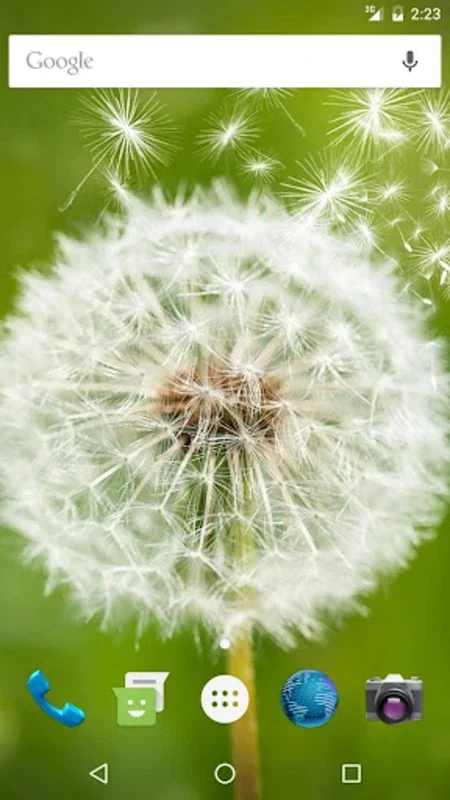 Wallpapers Dandelion for Android - Enhance Your Phone