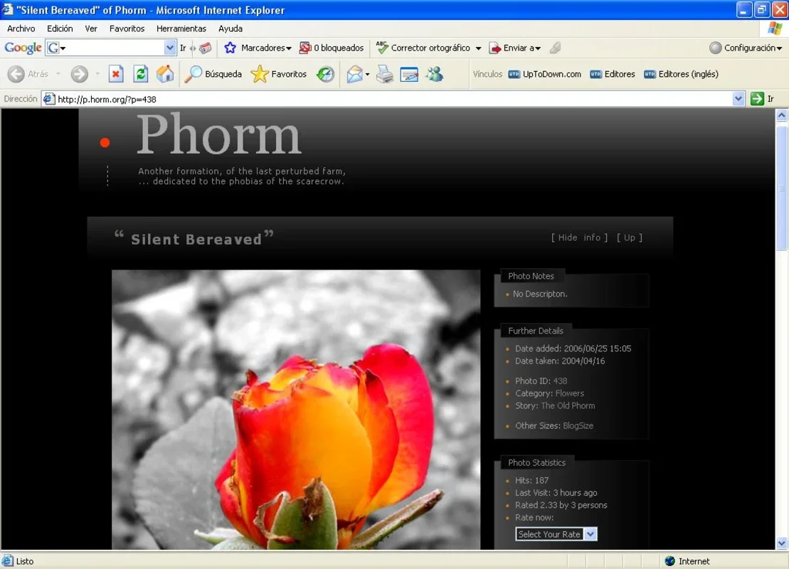 Phormer for Windows: Enhance Your Experience