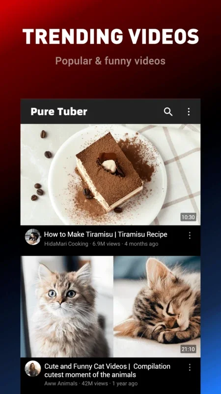 Pure Tuber for Android: Ad-Free Video Player with Background & Popup Play