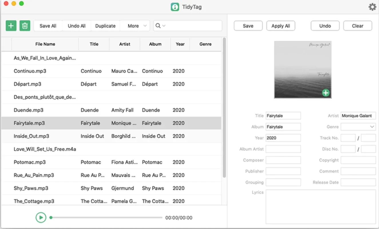 TidyTag Music Tag Editor for Mac: Organize Your Music