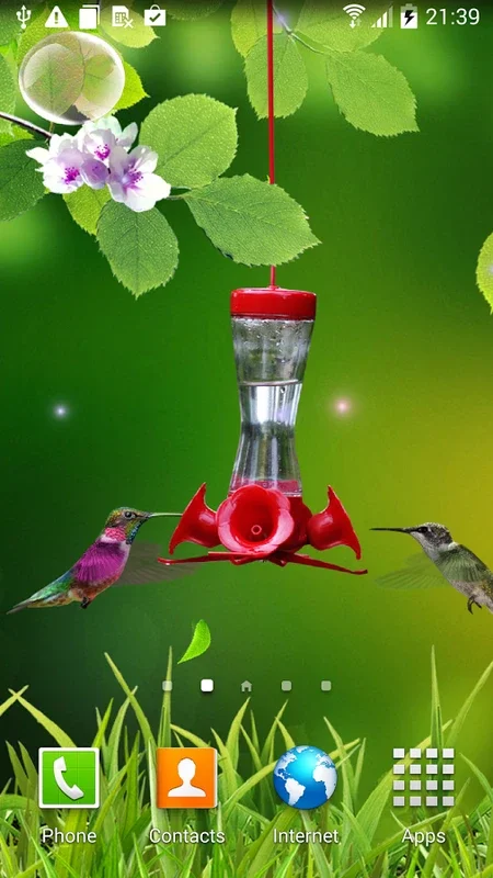 Hummingbirds Live Wallpaper for Android - Serene Visuals