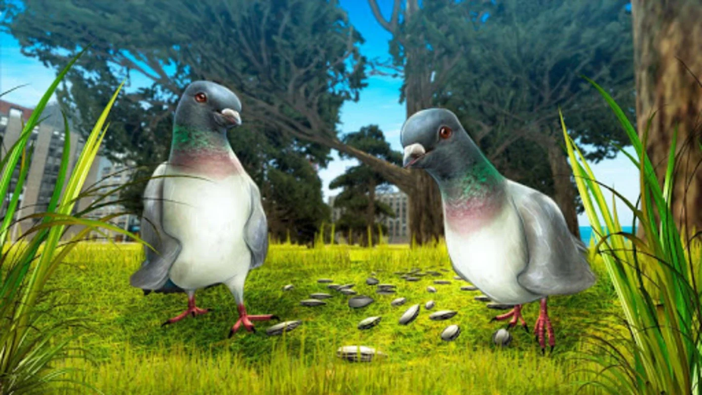 City Bird Pigeon Simulator 3D for Android: Fly in the City