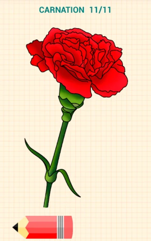 How to Draw Flowers for Android - Unleash Your Creativity