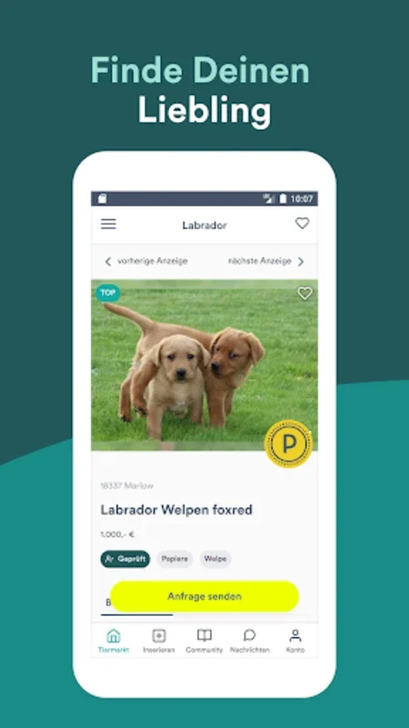 DeineTierwelt for Android - Connect with German Animal Platform