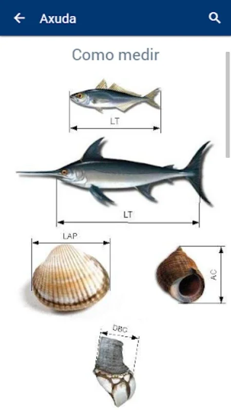 Don’t bite - Keep it right for Android: Optimize Seafood Times