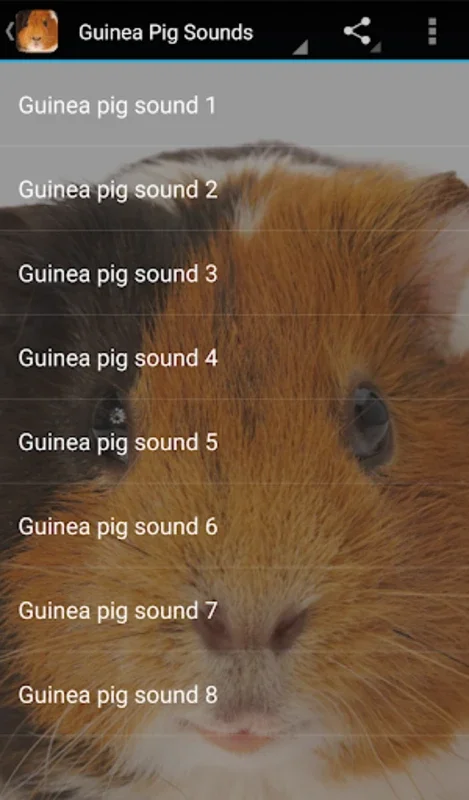 Guinea Pig Sounds for Android: Enhance Pet Communication