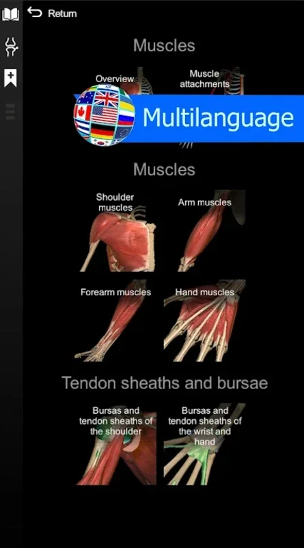 3D Anatomy Learning for Android: Immersive Anatomy Learning