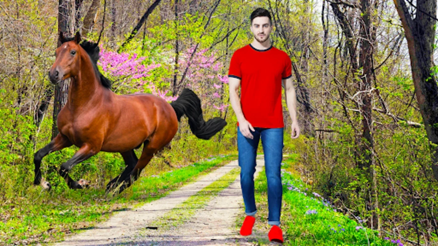 Horse Pic Editor Lyrical Maker for Android - Transform Photos