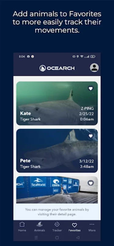 Shark Tracker for Android: Track Sharks Live