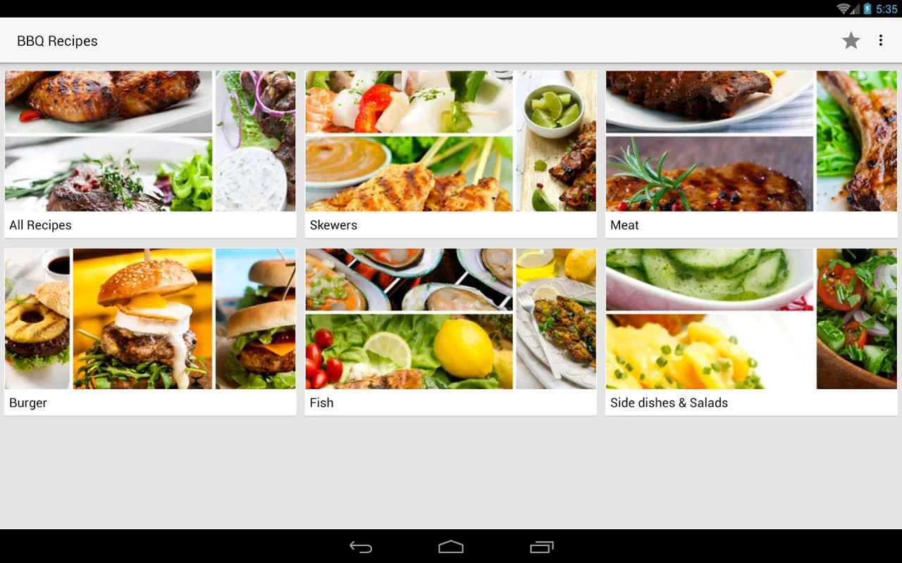 BBQ Recipes for Android: Diverse Grilling Options