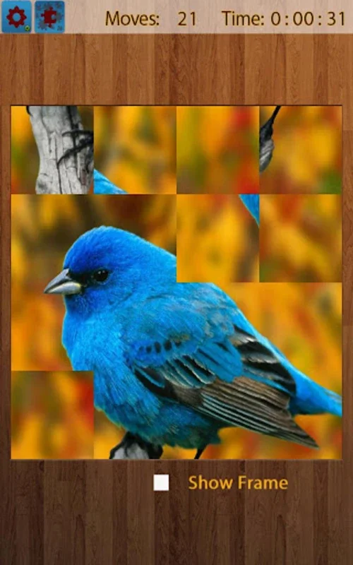 Birds Jigsaw Puzzles Game for Android - Engaging Puzzle Fun