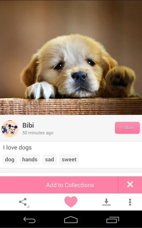 We Heart It for Android - Discover and Save Photos