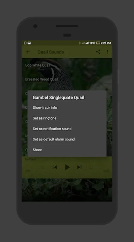 Quail Sounds for Android: Enjoy High - Quality Quail Audio